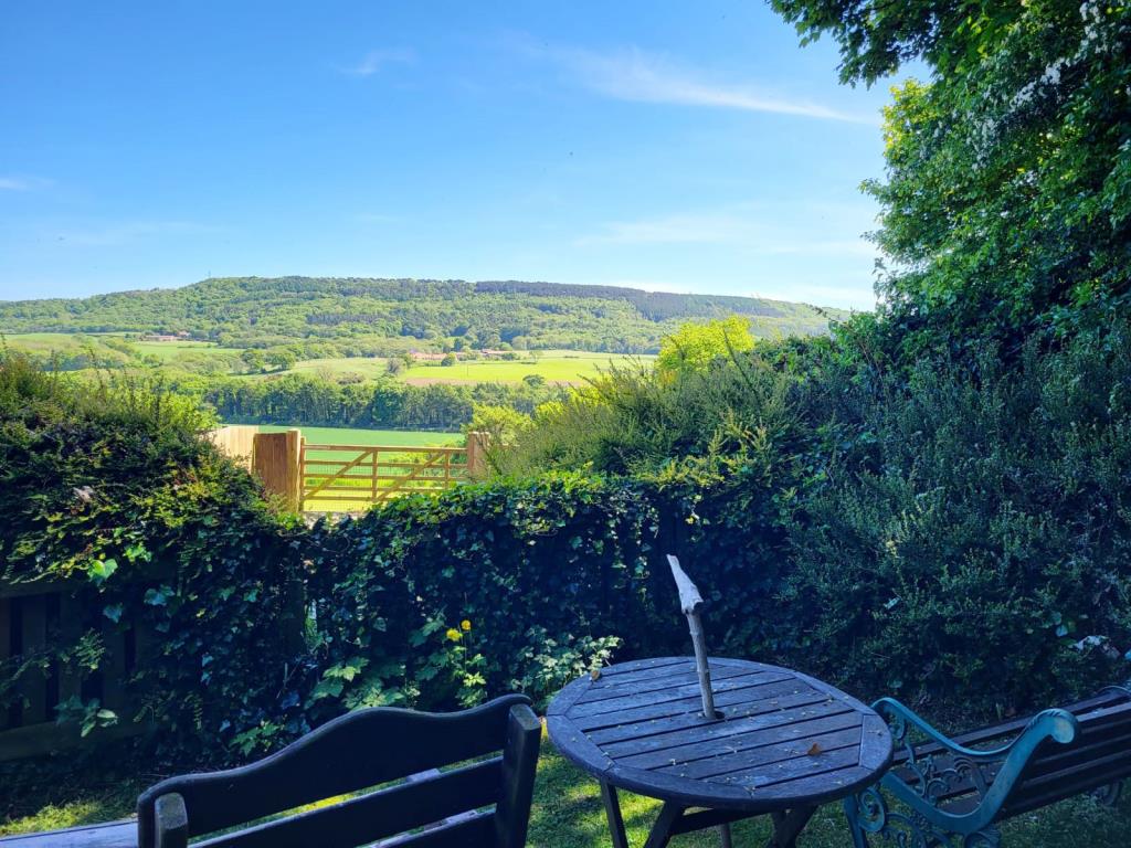 Lot: 64 - TERRACE OF THREE SELF-CONTAINED HOLIDAY COTTAGES - View from the Garden